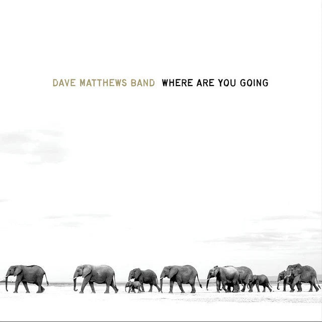 Dave Matthews Band - Where Are You Going: The Singles ( VINYL )
