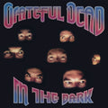 Grateful Dead - In The Dark ( VINYL )