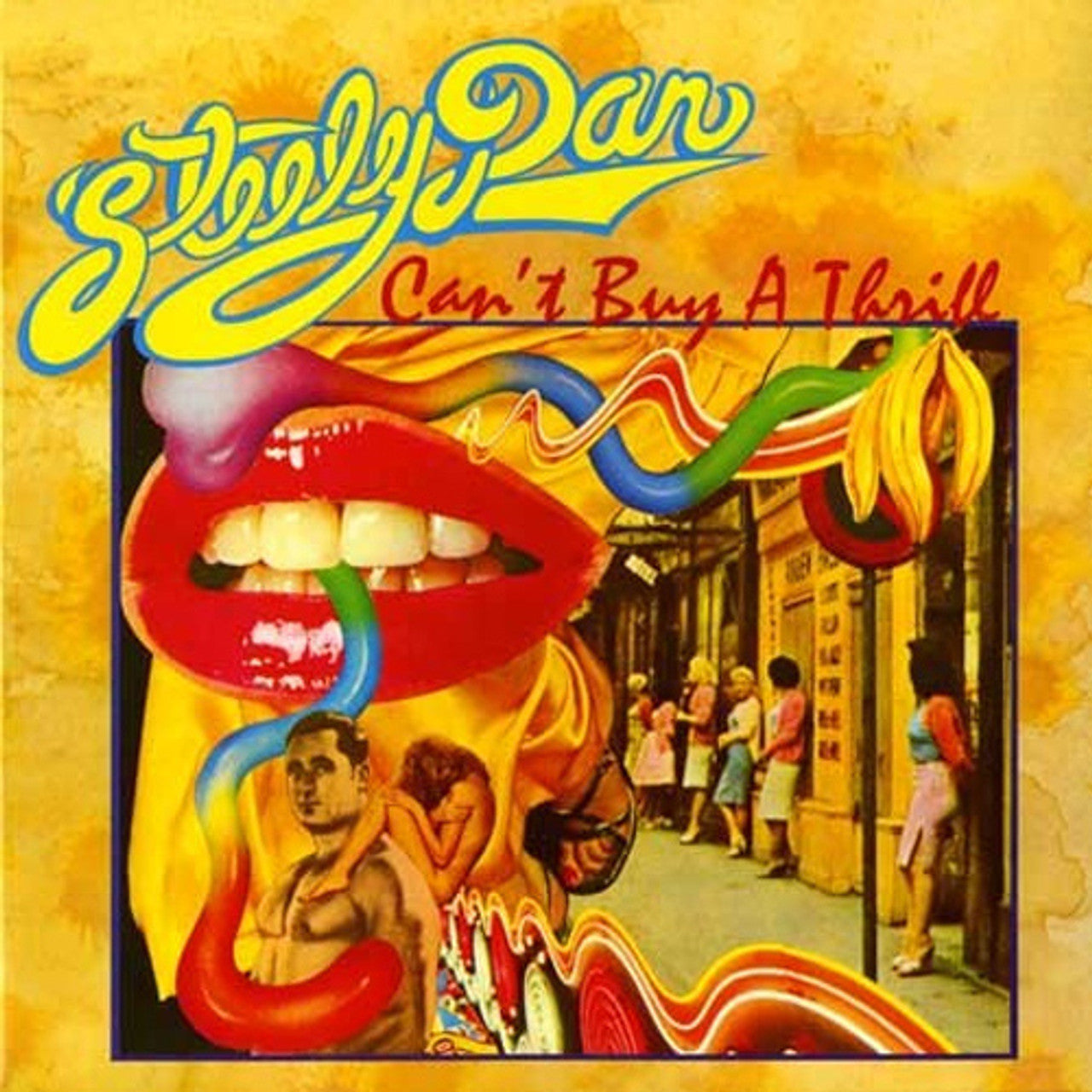 Steely Dan - Can't Buy a Thrill ( VINYL )