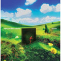 Rainbow Kitten Surprise - bones ( VINYL )