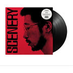 Ryo Fukui - Scenery ( VINYL )