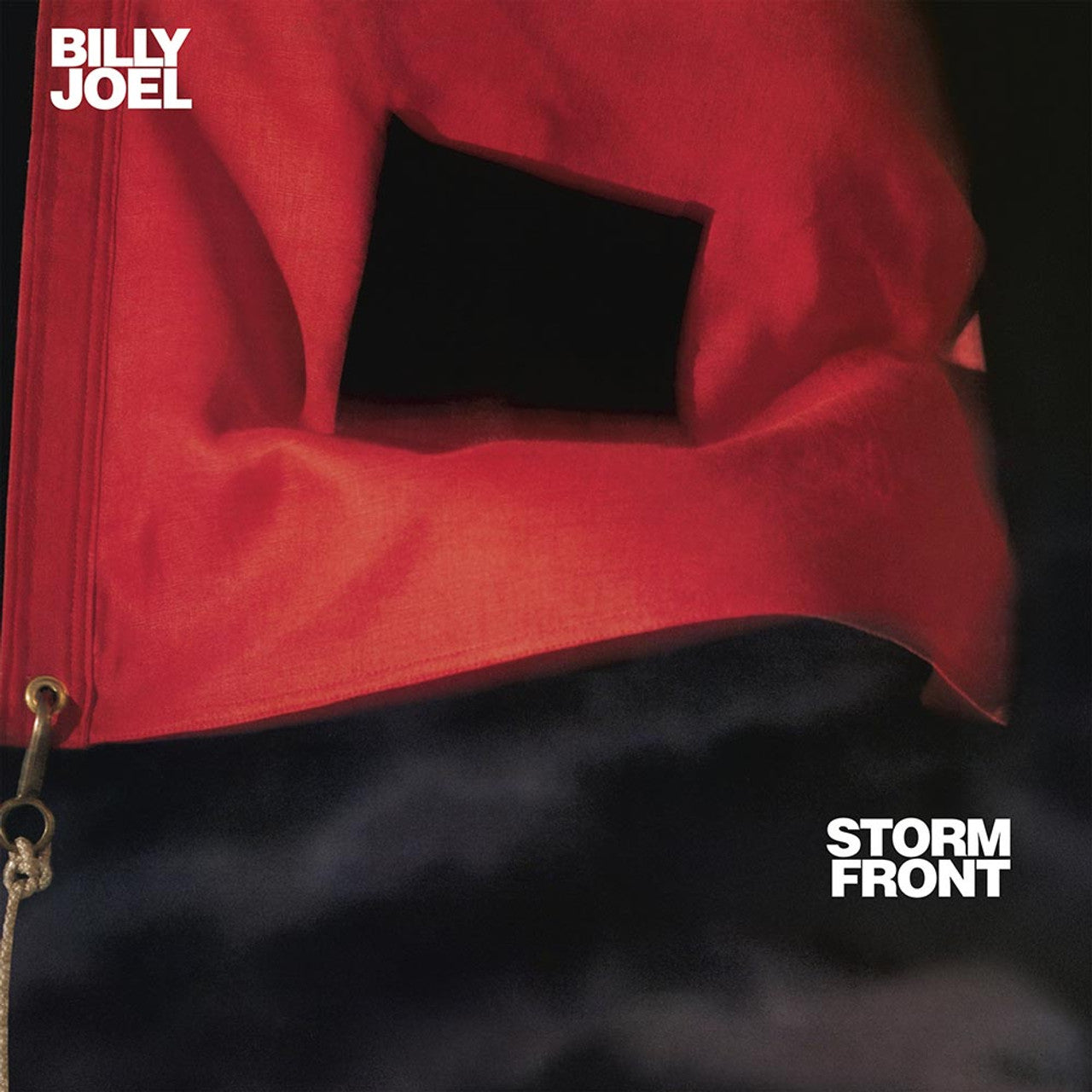 Billy Joel - Storm Front ( VINYL )