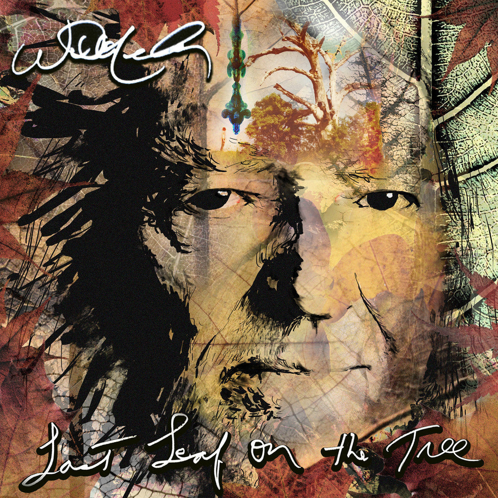 Willie Nelson - Last Leaf on the Tree ( VINYL )
