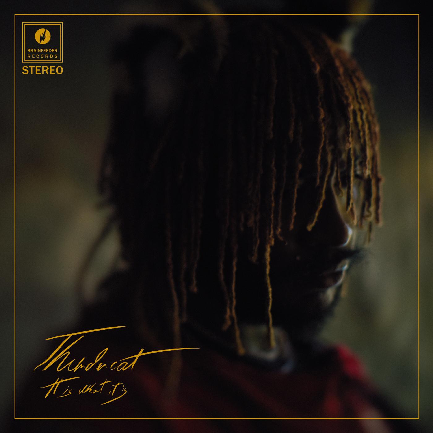 Thundercat - It Is What It Is - Clear Vinyl ( VINYL )