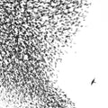 Wilco - Sky Blue Sky ( VINYL )