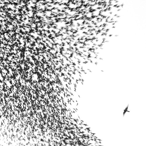 Wilco - Sky Blue Sky ( VINYL )