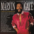 Marvin Gaye - Every Great Motown Hit Of Marvin Gaye: 15 Spectacular Performances ( VINYL )