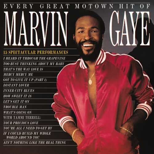 Marvin Gaye - Every Great Motown Hit Of Marvin Gaye: 15 Spectacular Performances ( VINYL )