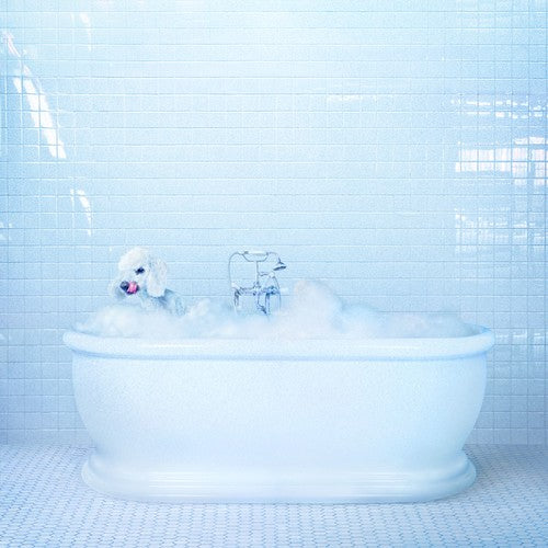 Frankie Cosmos - Vessel ( VINYL )