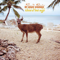 Fruit Bats - Gold Past Life ( VINYL )