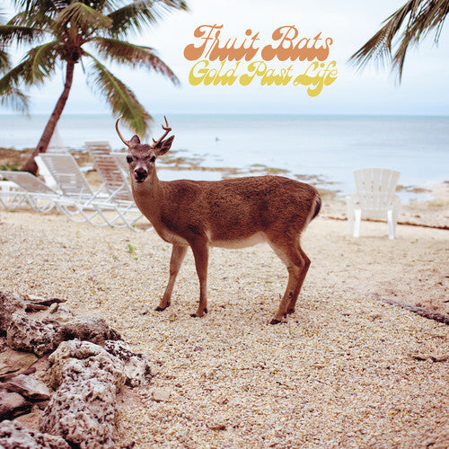 Fruit Bats - Gold Past Life ( VINYL )
