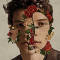 Shawn Mendes - Shawn Mendes ( VINYL )