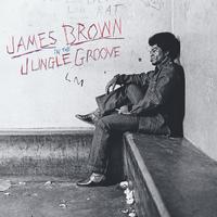 James Brown - In the Jungle Groove ( VINYL )