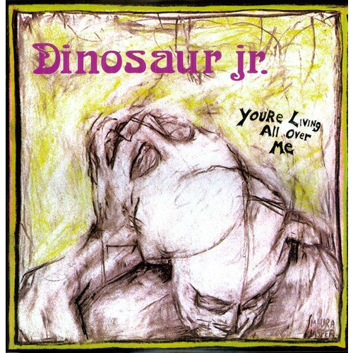 Dinosaur Jr. - You're Living All Over Me ( VINYL )