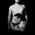 U2 - Songs of Innocence ( VINYL )