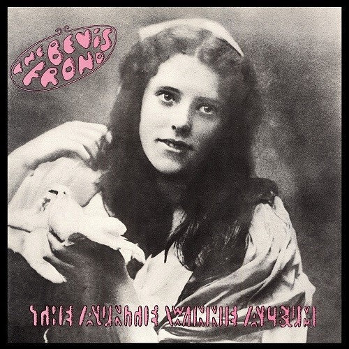 The Bevis Frond - Auntie Winnie Album ( VINYL )