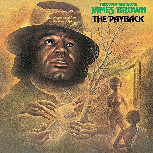 James Brown - The Payback ( VINYL )
