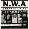 N.W.A - Greatest Hits ( VINYL )