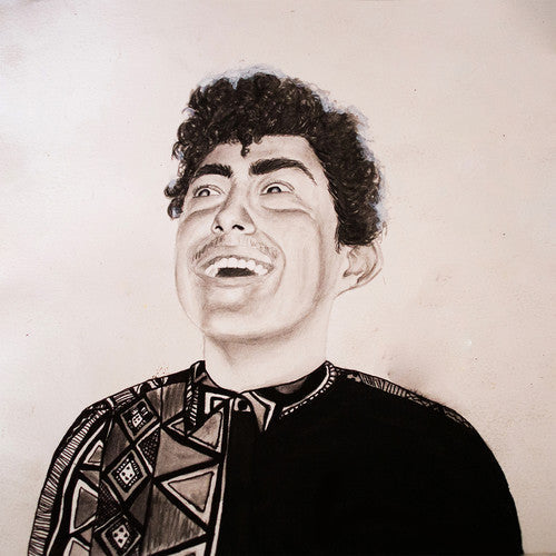 Hobo Johnson - The Rise of Hobo Johnson ( VINYL )