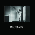 Bauhaus - In The Flat Field ( VINYL )