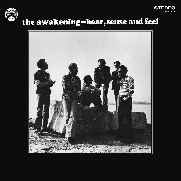 The Awakening - Hear, Sense and Feel ( VINYL )
