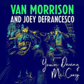 Van Morrison & Joey DeFrancesco - You're Driving Me Crazy ( VINYL )