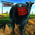 Blink-182 - Dude Ranch ( VINYL )