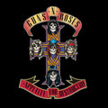 Guns N' Roses - Appetite for Destruction ( VINYL )
