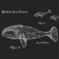British Sea Power - Sea of Brass ( VINYL )