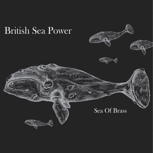 British Sea Power - Sea of Brass ( VINYL )