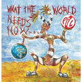 Public Image Ltd - What the World Needs Now ( VINYL )