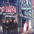 Ariel Pink's Haunted Graffiti - Before Today ( VINYL )
