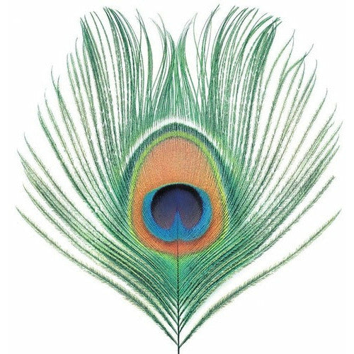 XTC - Apple Venus Vol. 1 ( VINYL )