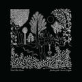 Dead Can Dance - Garden Of The Arcane Delight + Peel Sessions ( VINYL )
