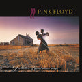 Pink Floyd - A Collection Of Great Dance Songs ( VINYL )