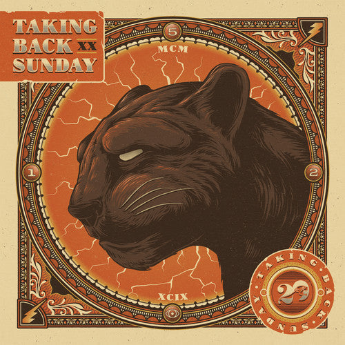 Taking Back Sunday - Twenty ( VINYL )