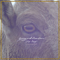 Young & Heartless - Stay Away ( VINYL )