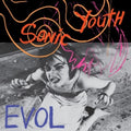 Sonic Youth - Evol ( VINYL )