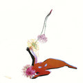 Future Islands - The Far Field ( VINYL )