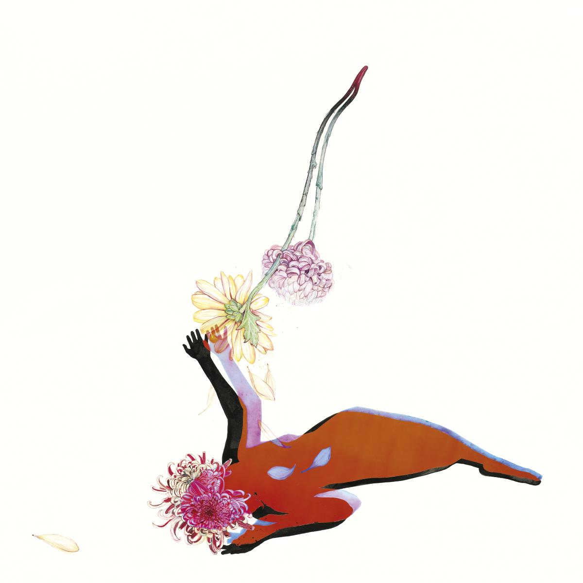 Future Islands - The Far Field ( VINYL )
