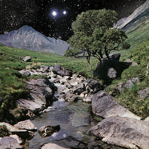 The Beta Band - The Beta Band ( VINYL )