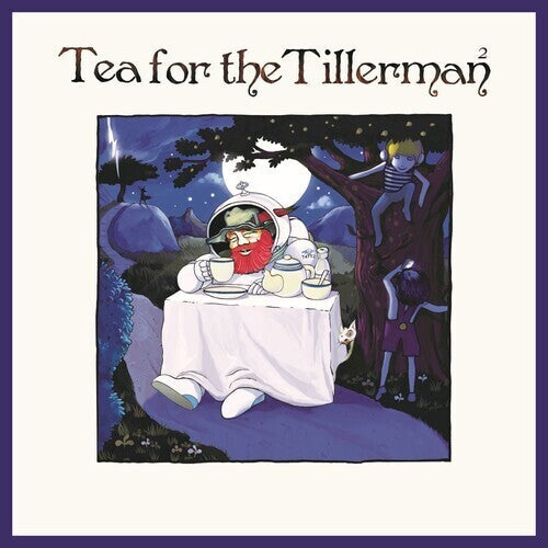 Cat Stevens - Tea For The Tillerman 2 ( VINYL )