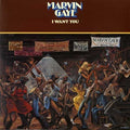 Marvin Gaye - I Want You ( VINYL )