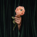 Marian Hill - Unusual ( VINYL )