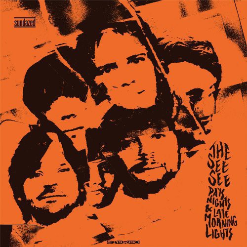 The See See - Days Nights & Late Morning Lights ( VINYL )