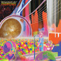 The Flaming Lips - The Flaming Lips Onboard The International Space Station Concert For Peace ( VINYL )