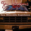 Gin Blossoms - New Miserable Experience ( VINYL )
