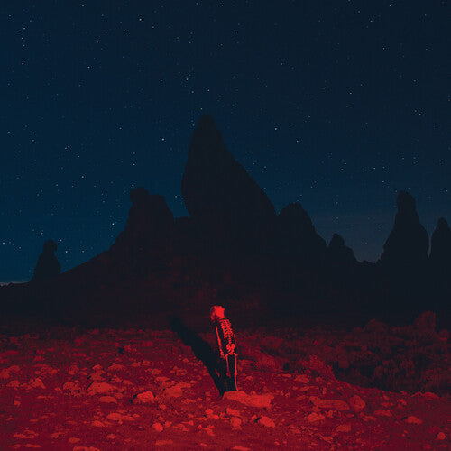 Phoebe Bridgers - Punisher ( VINYL )