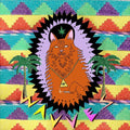 Wavves - King of the Beach ( VINYL )