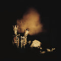 Pearl Jam - Riot Act ( VINYL )